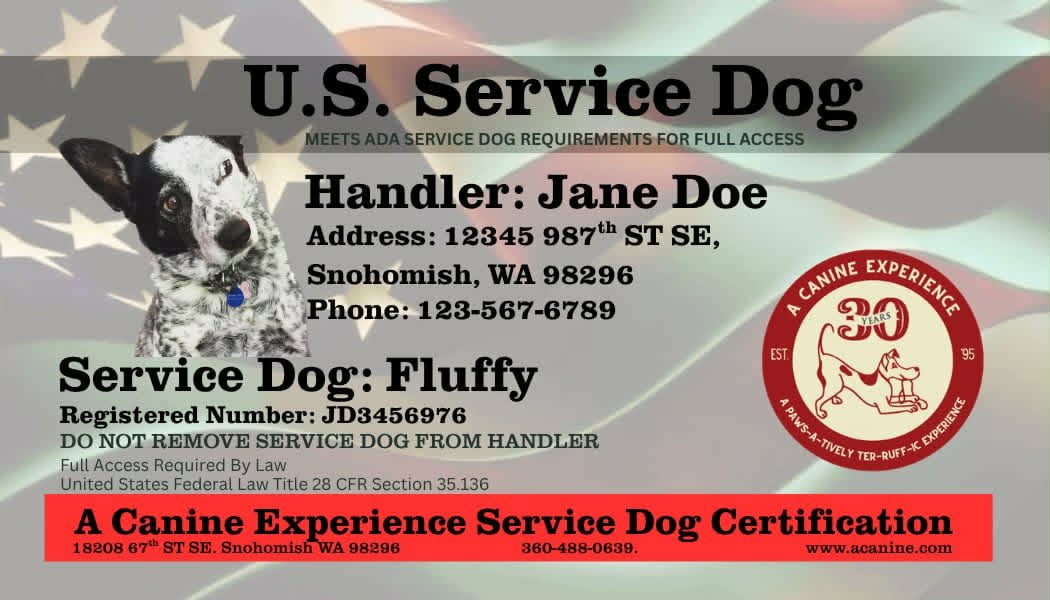 ACE Certification ID card — issued by A Canine Experience to teams who pass the Public Access and Task Tests.