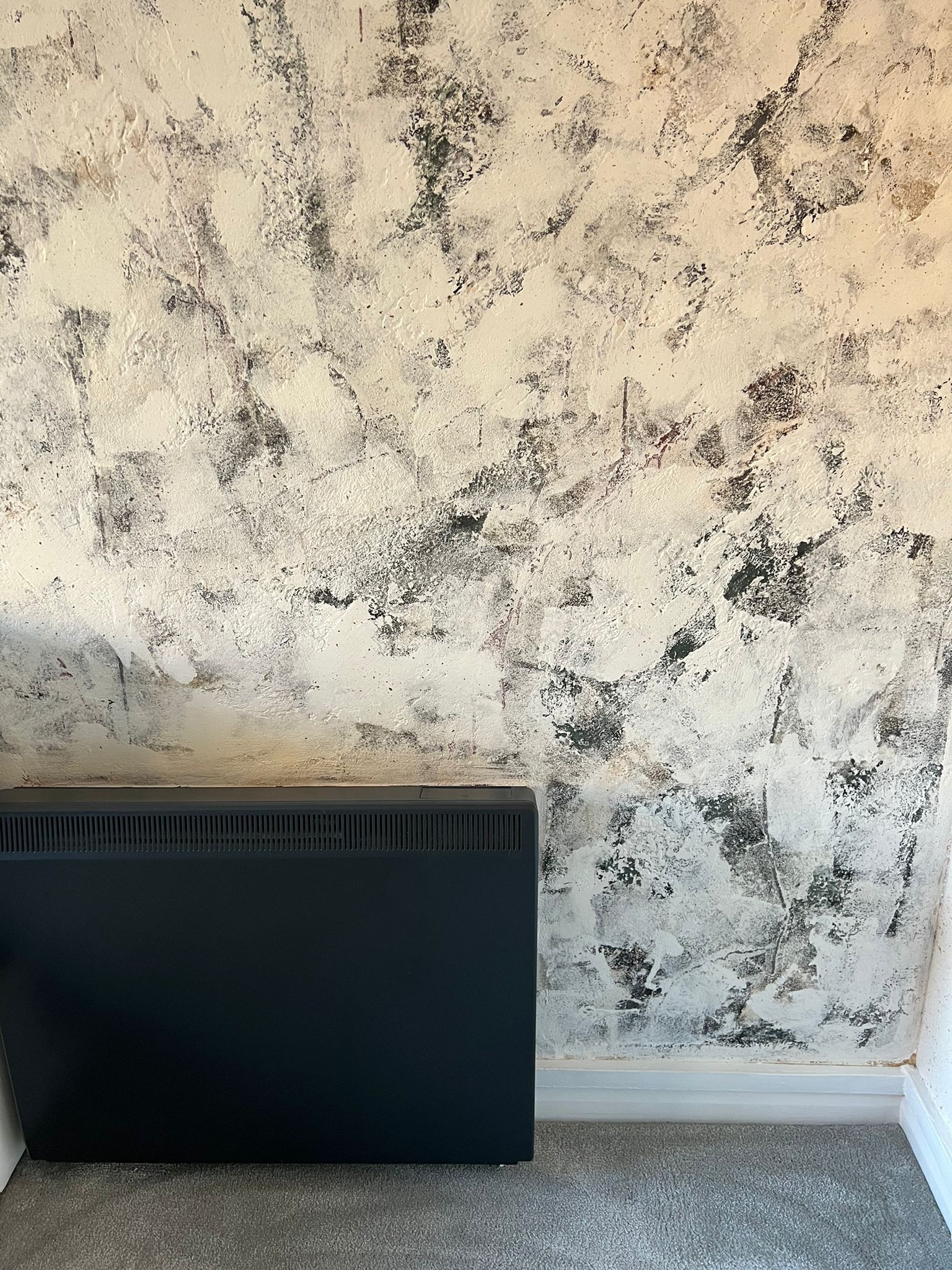 venetian plaster wall