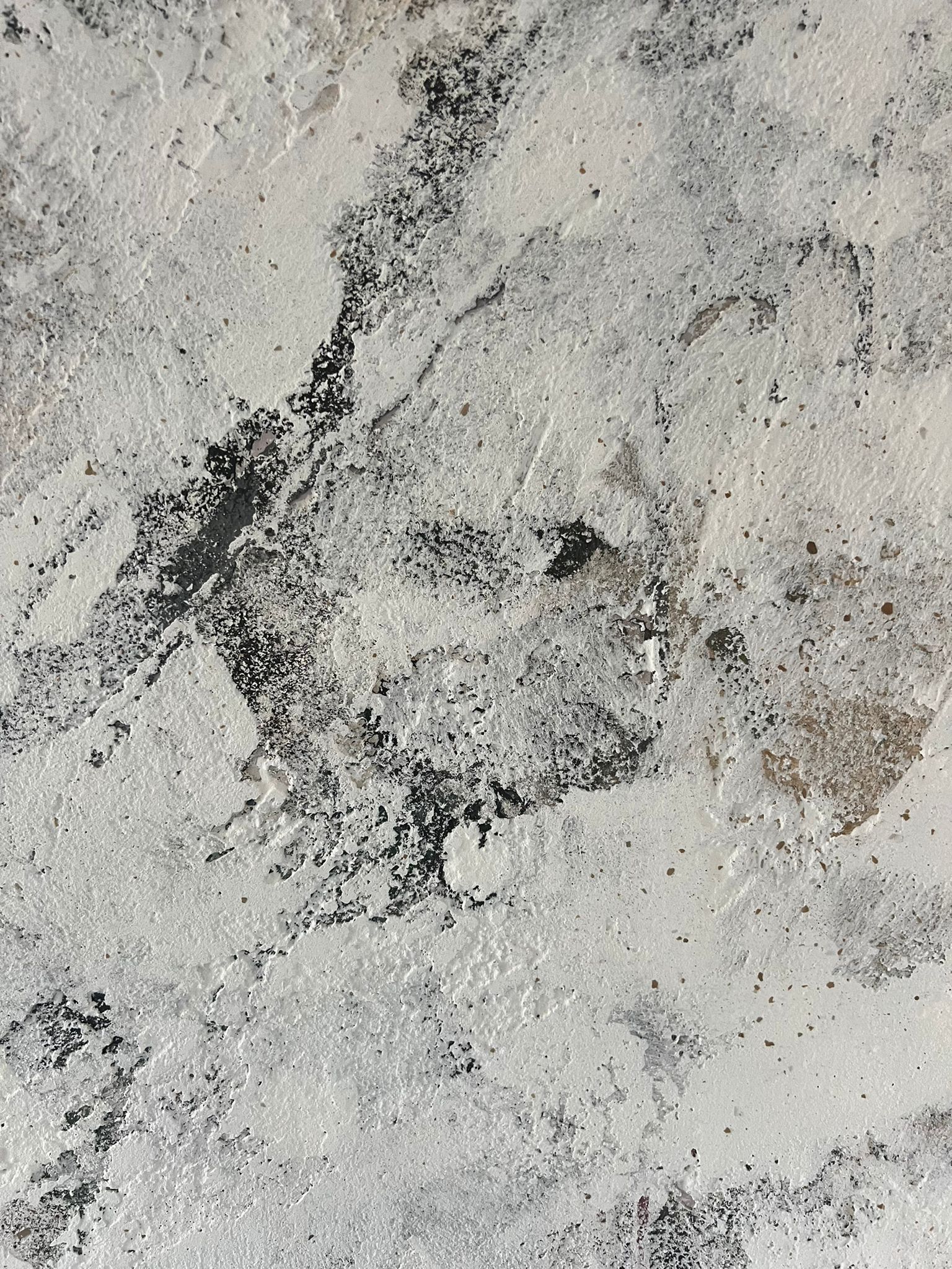venetian plaster white and black