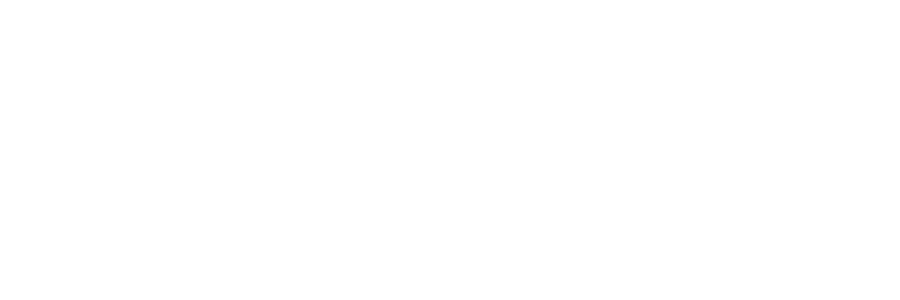 We Scale Local