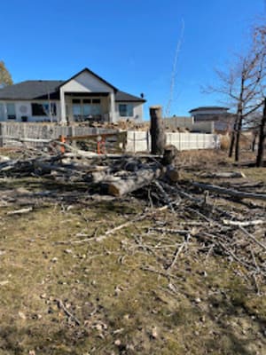 {{ custom_values.service_2 }} in {{custom_values.area_5})