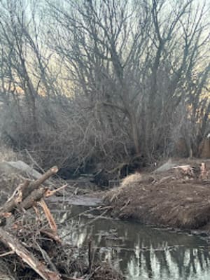 {{ custom_values.service_3 }} in {{custom_values.area_5})