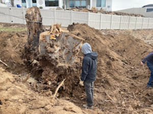 {{ custom_values.service_1 }} in {{custom_values.area_6})