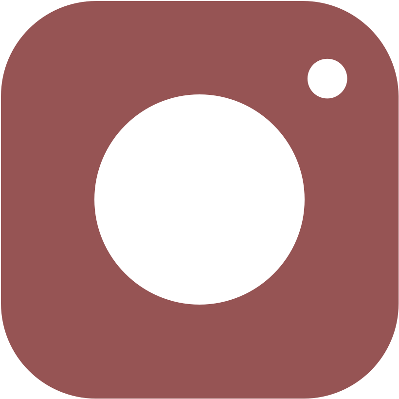 Instagram Icon