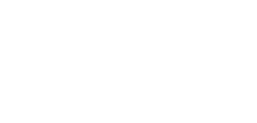 Shopify Partners