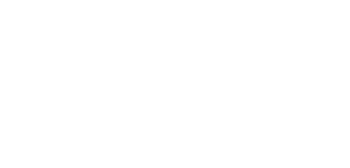 NiceApp.ai partner