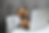 AI in Veterinarian Practice