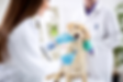Compassion Fatigue