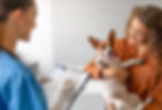 Veterinary Services with Innovative Payment Methods