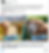 Facebook post  example for veterinary clinics