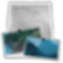 Veterinary Blog Posts