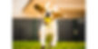 Interactive Pet Posts