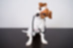 Future of Veterinary Employee Management