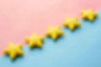 Five star review for your veterinary practice.