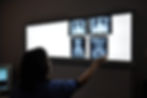 Veterinary Practice Management Reviewing X-Rays