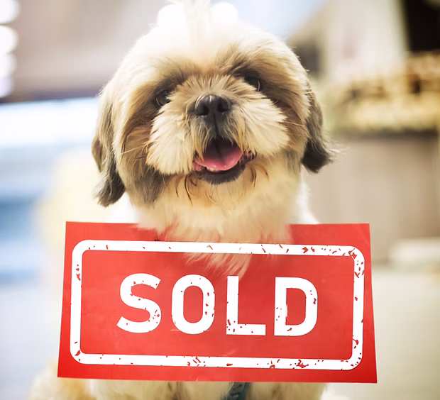 Elite Journey: How One Practice Sold for 2x Their Asking Price