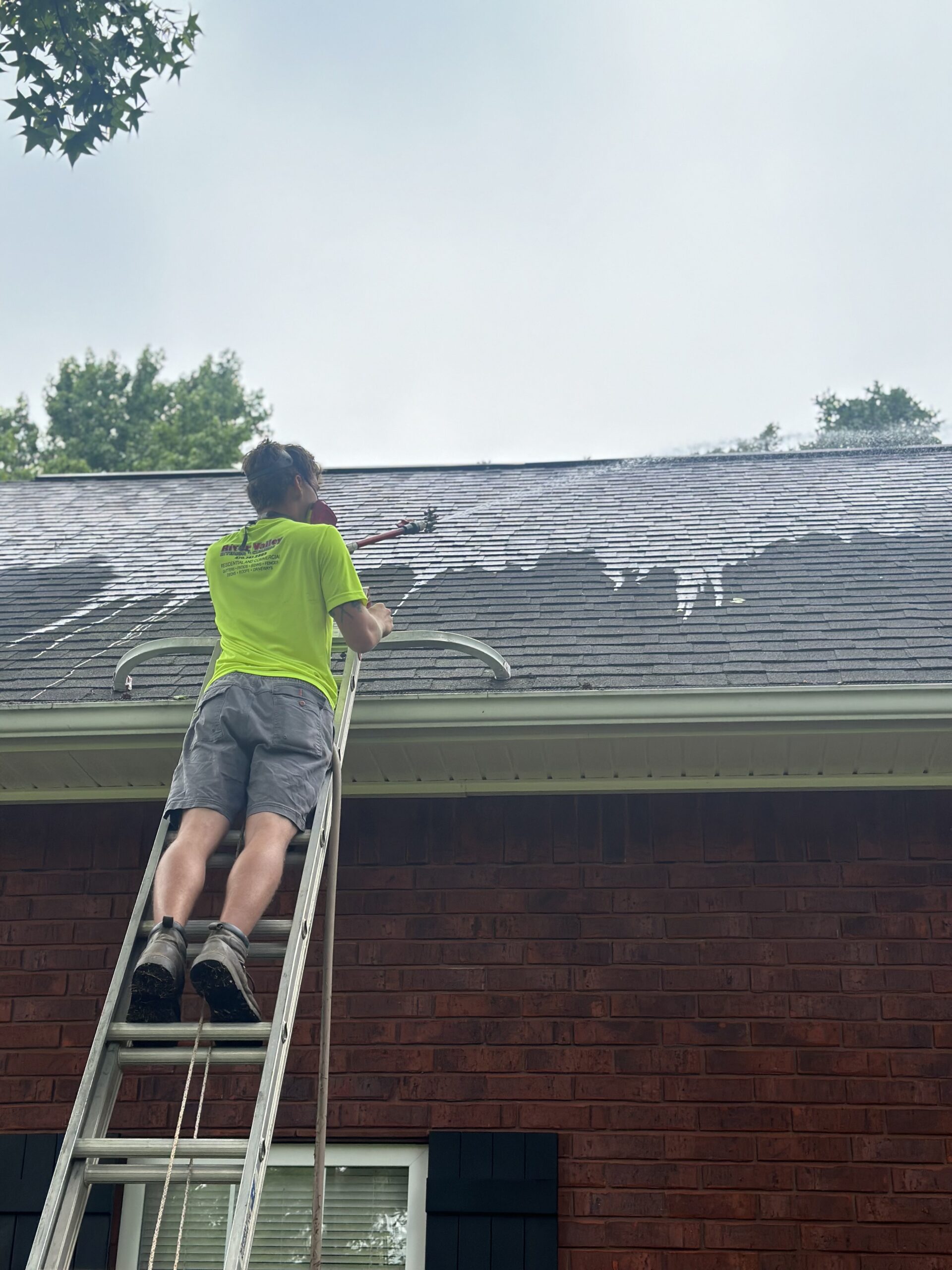 Technician on a ladder applying a non-pressure roof cleaning treatment