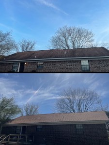 Before and after of an asphalt shingle roof: heavy black algae streaking above, clean even shingles below
