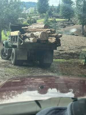 {{ custom_values.service_3 }} in {{custom_values.area_4})