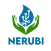 Nerubi
