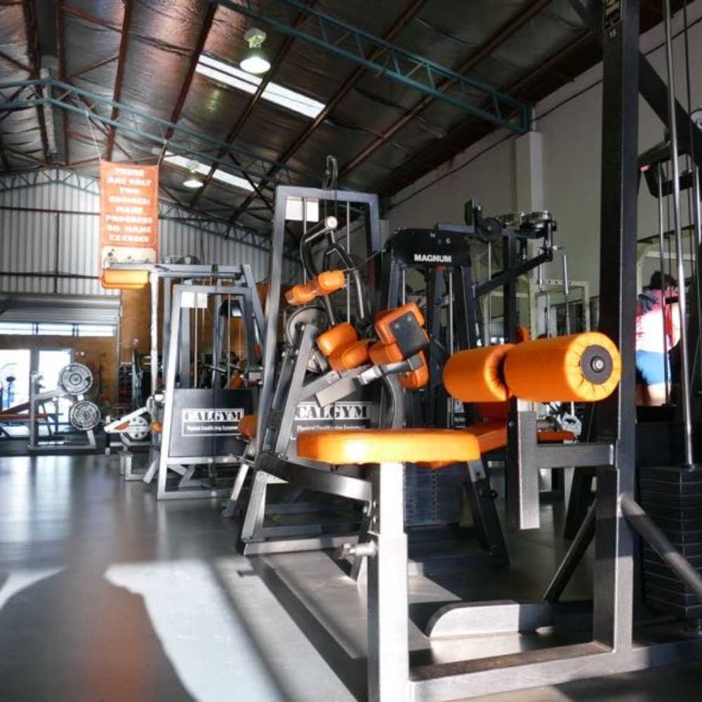 Pro grade gym equipment