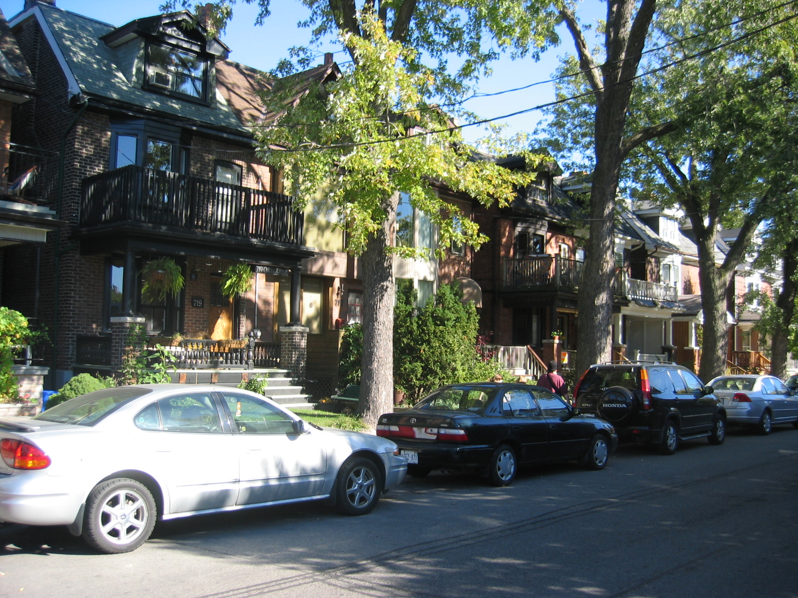 Brick semi detached houses with front porches and mature trees on Carlaw Avenue in Riverdale, Toronto Brick semi detached houses with front porches and mature trees on Carlaw Avenue in Riverdale, Toronto