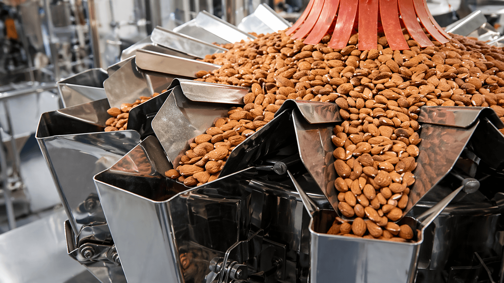 Snack and nut processing operation with packaging equipment