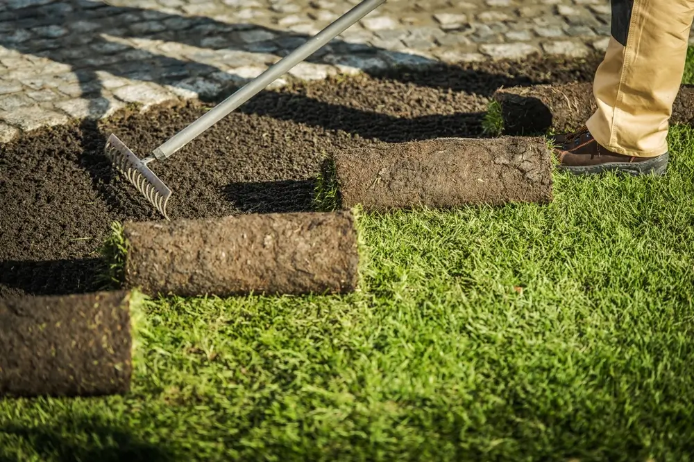 Lawn Care Maintenance