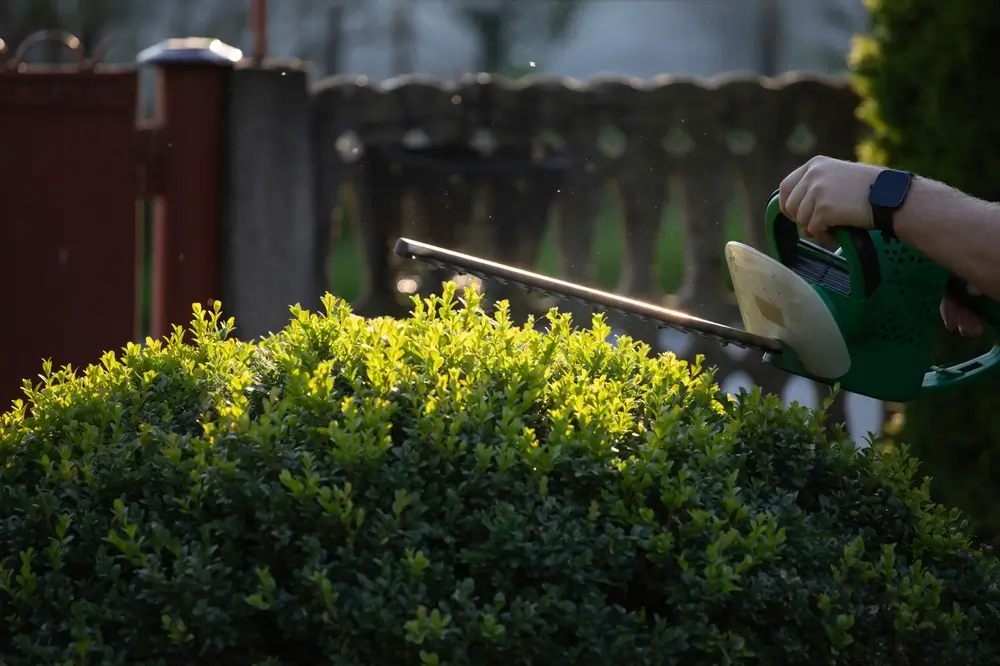 Lawn Care Maintenance