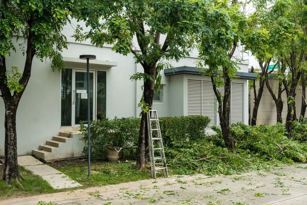 Lawn Care Maintenance