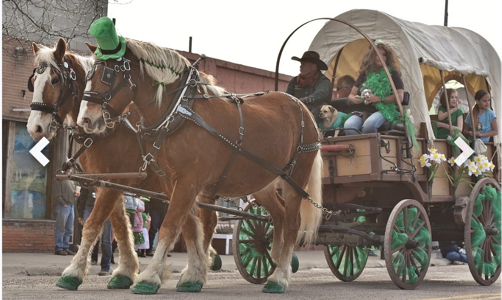Live Oak Belgians at a public event in Montana