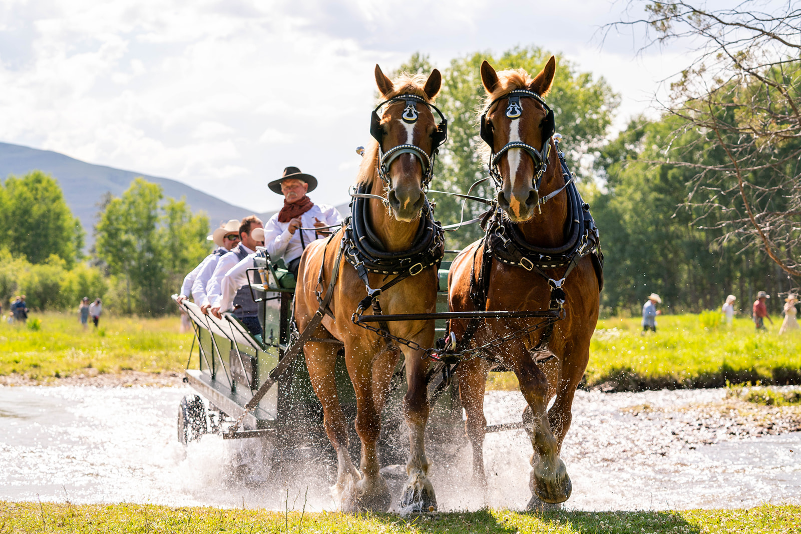 Horse-drawn ranch ride at Live Oak Belgians in St. Ignatius, Montana