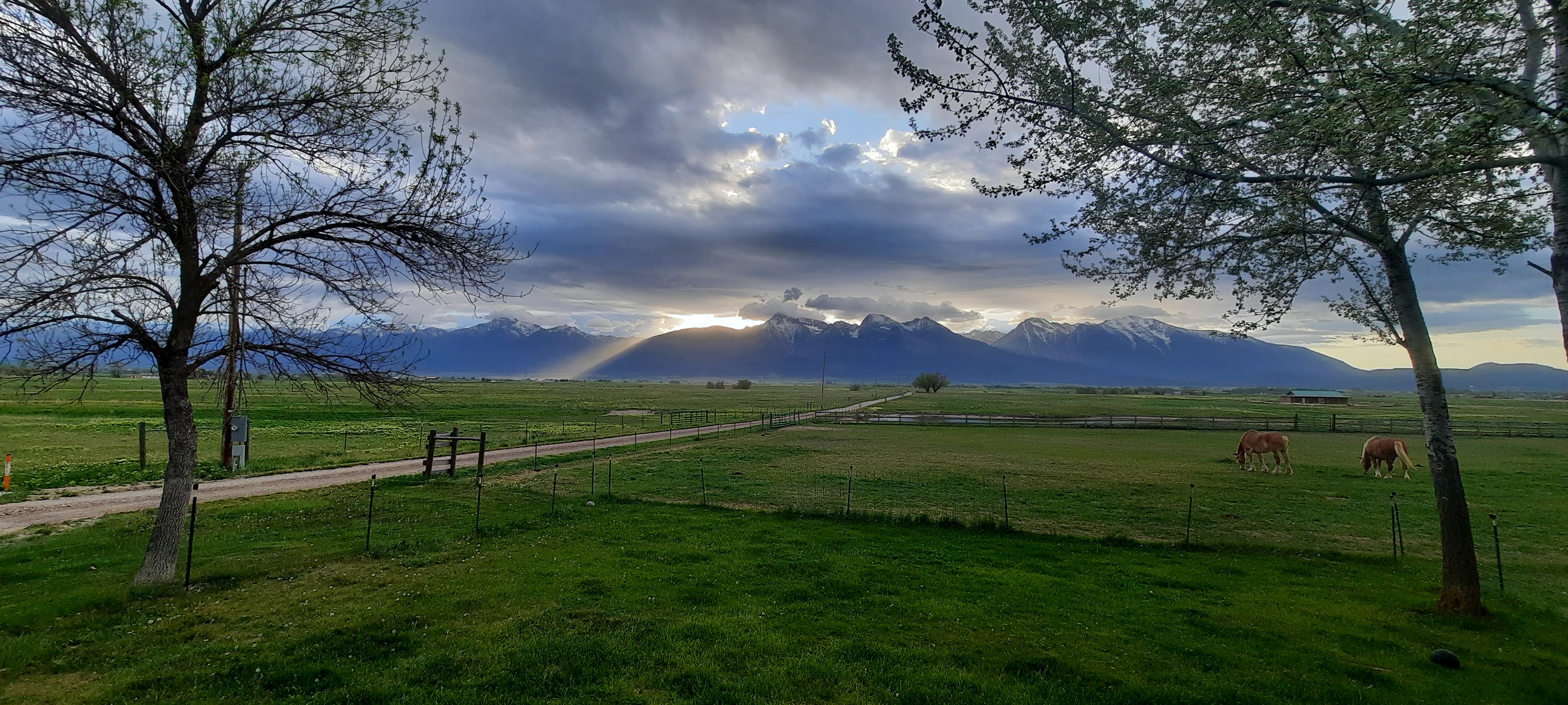 Accommodations at Live Oak Belgians in St. Ignatius, Montana