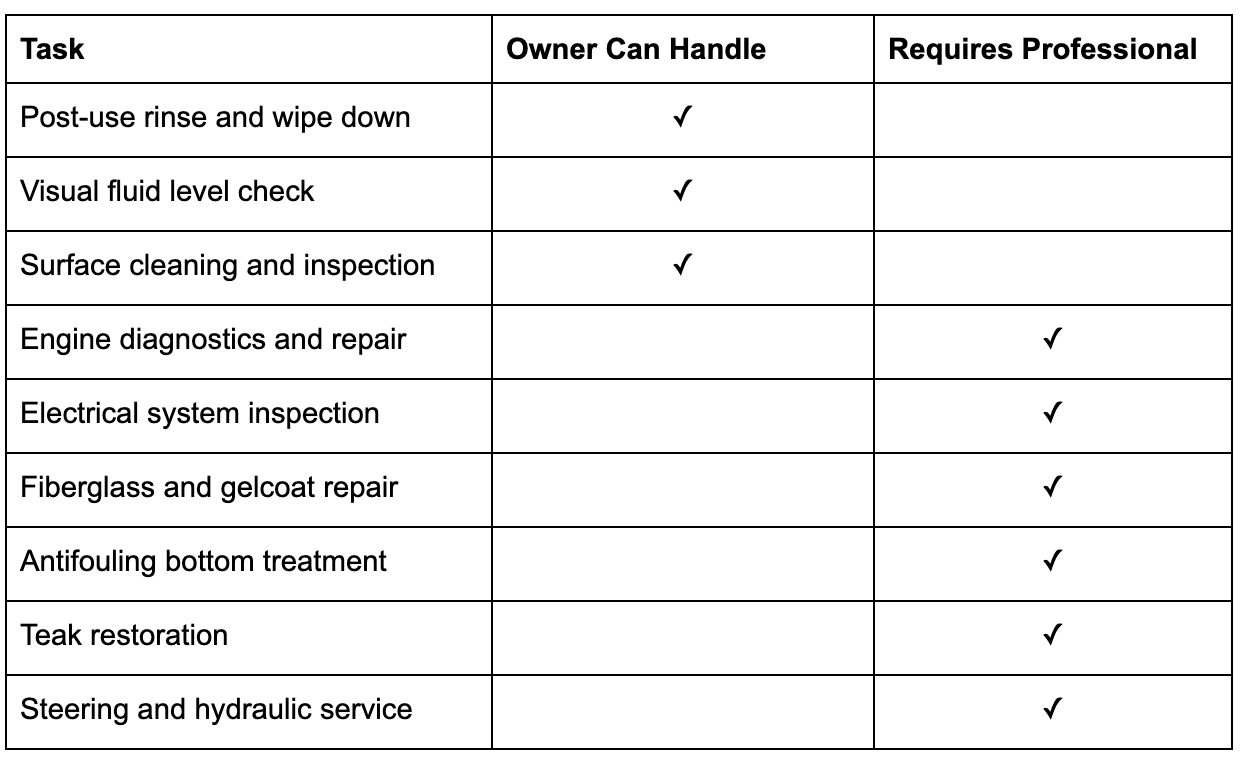 DIY Upkeep vs. Professional Maintenance