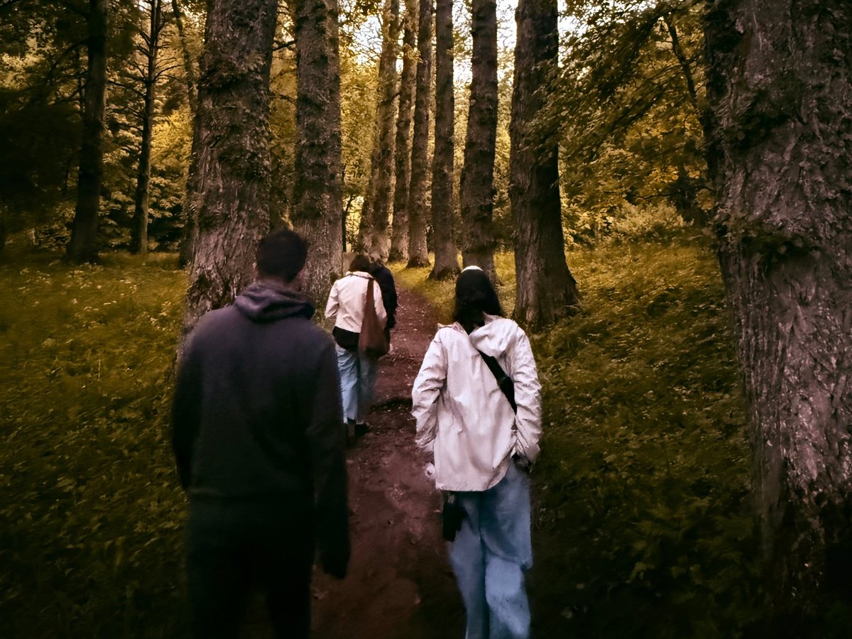 Friends walking a wooded trail between tall trees