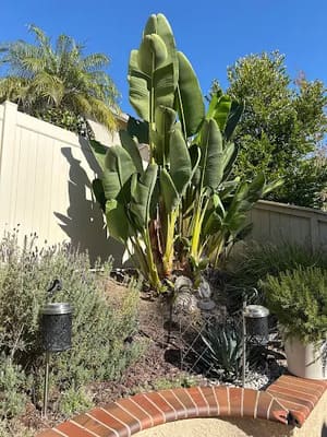 {{ custom_values.service_3 }} in {{custom_values.area_3})