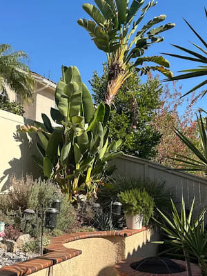 {{ custom_values.service_3 }} in {{custom_values.area_6})