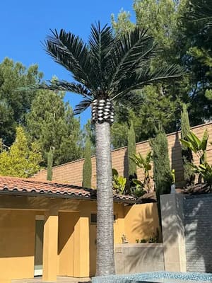 {{ custom_values.service_3 }} in {{custom_values.area_1})