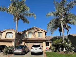 {{ custom_values.service_3 }} in {{custom_values.area_6})