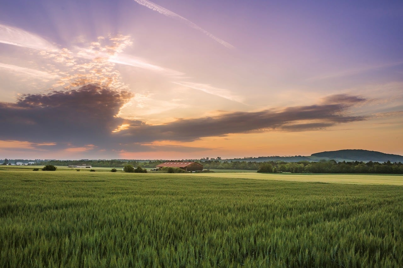 First light over open country