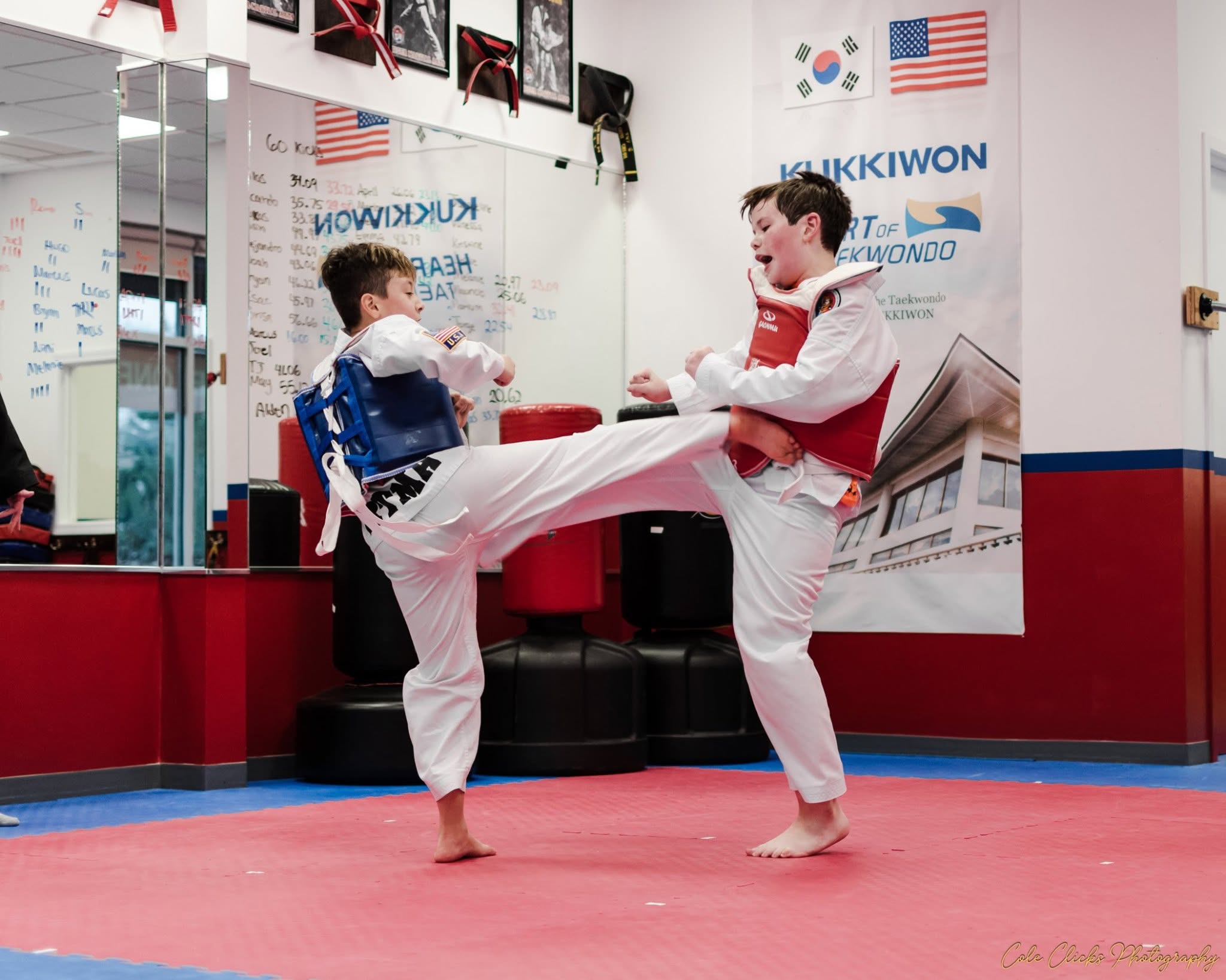 Martial Artist in Uniform