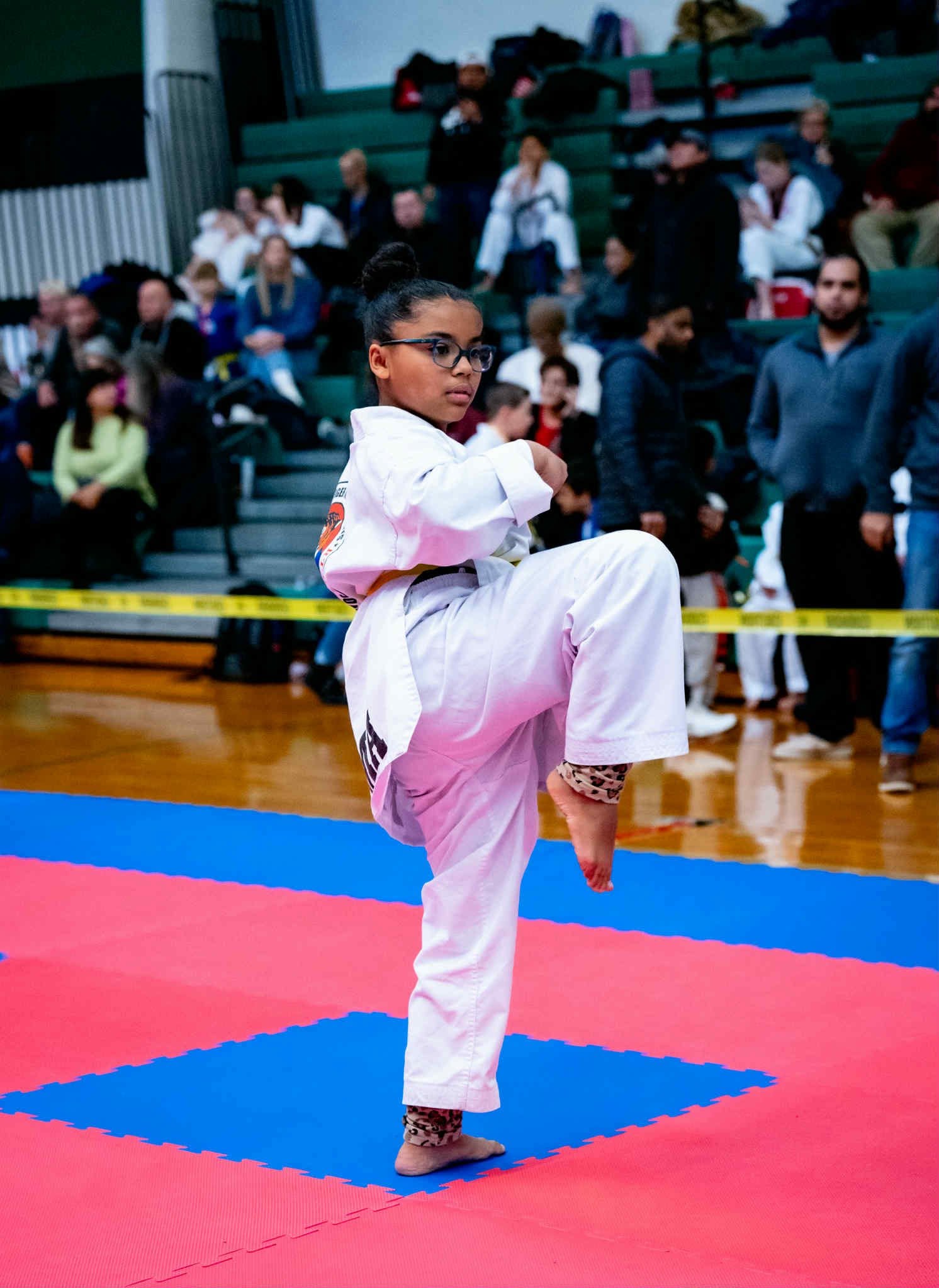 Taekwondo Instructor
