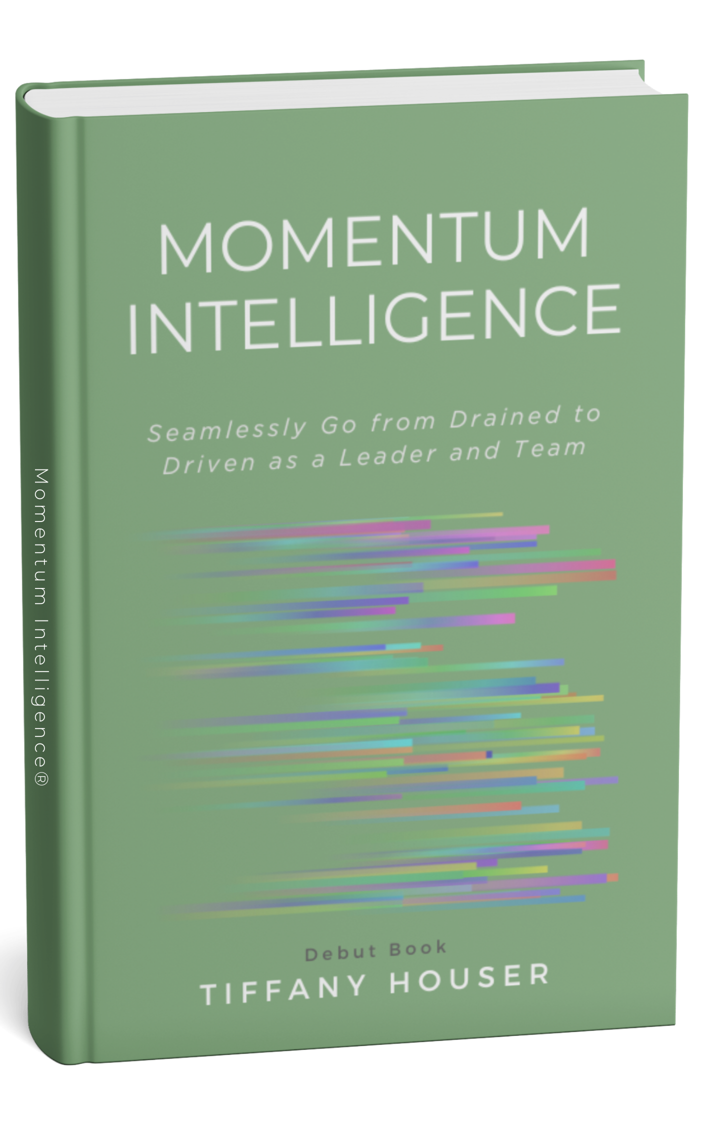 Momentum Intelligence book cover