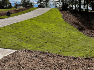 {{ custom_values.service_4 }} in {{custom_values.area_2})