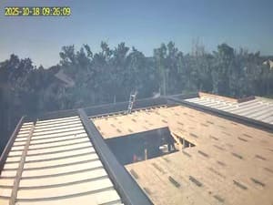 {{ custom_values.service_3 }} in {{custom_values.area_5})