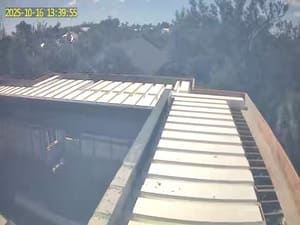 {{ custom_values.service_1 }} in {{custom_values.area_7})