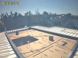 {{ custom_values.service_4 }} in {{custom_values.area_7})