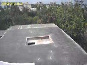 {{ custom_values.service_2 }} in {{custom_values.area_2})