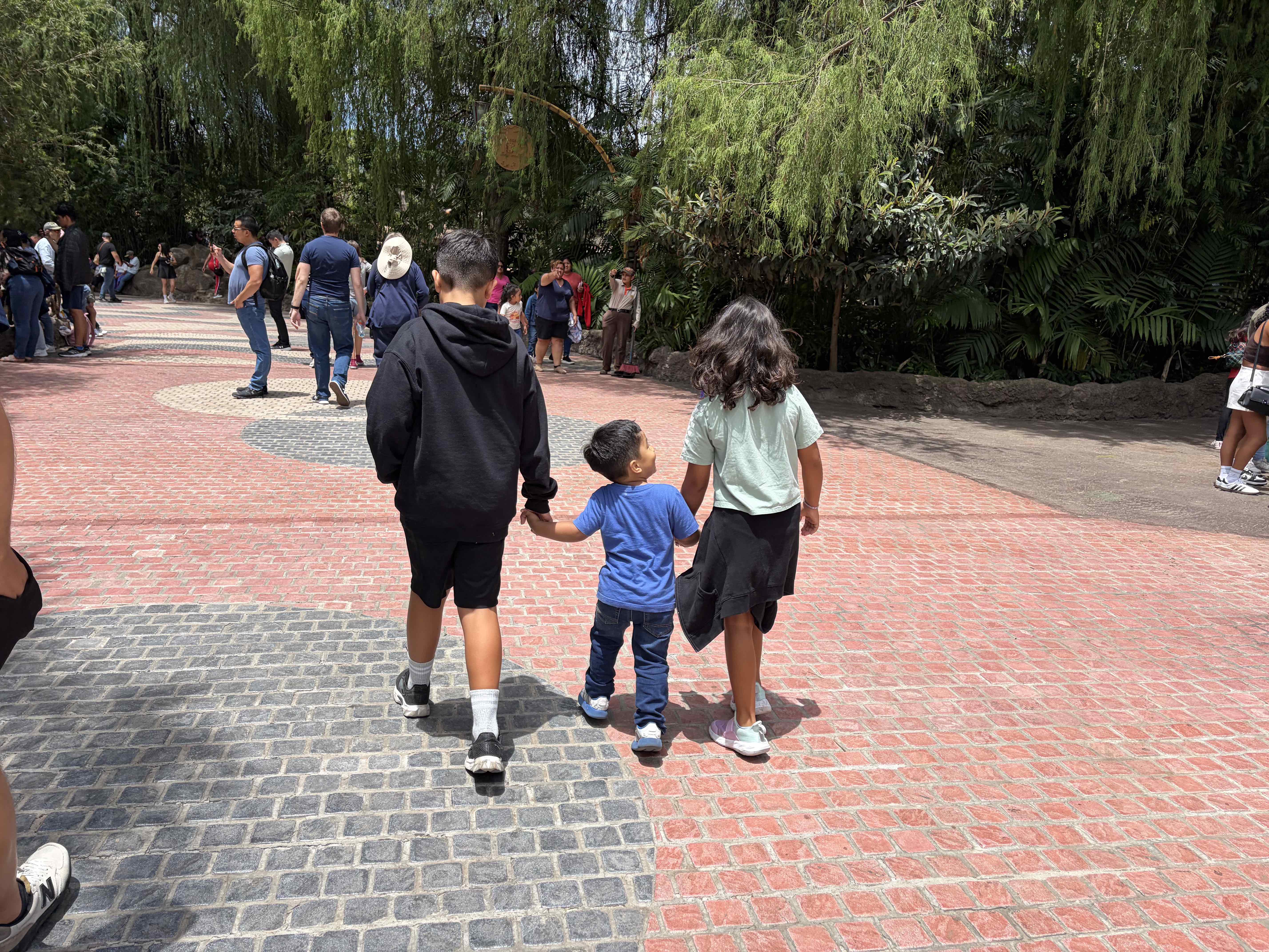 Entering the Guatemala Zoo 'La Aurora'