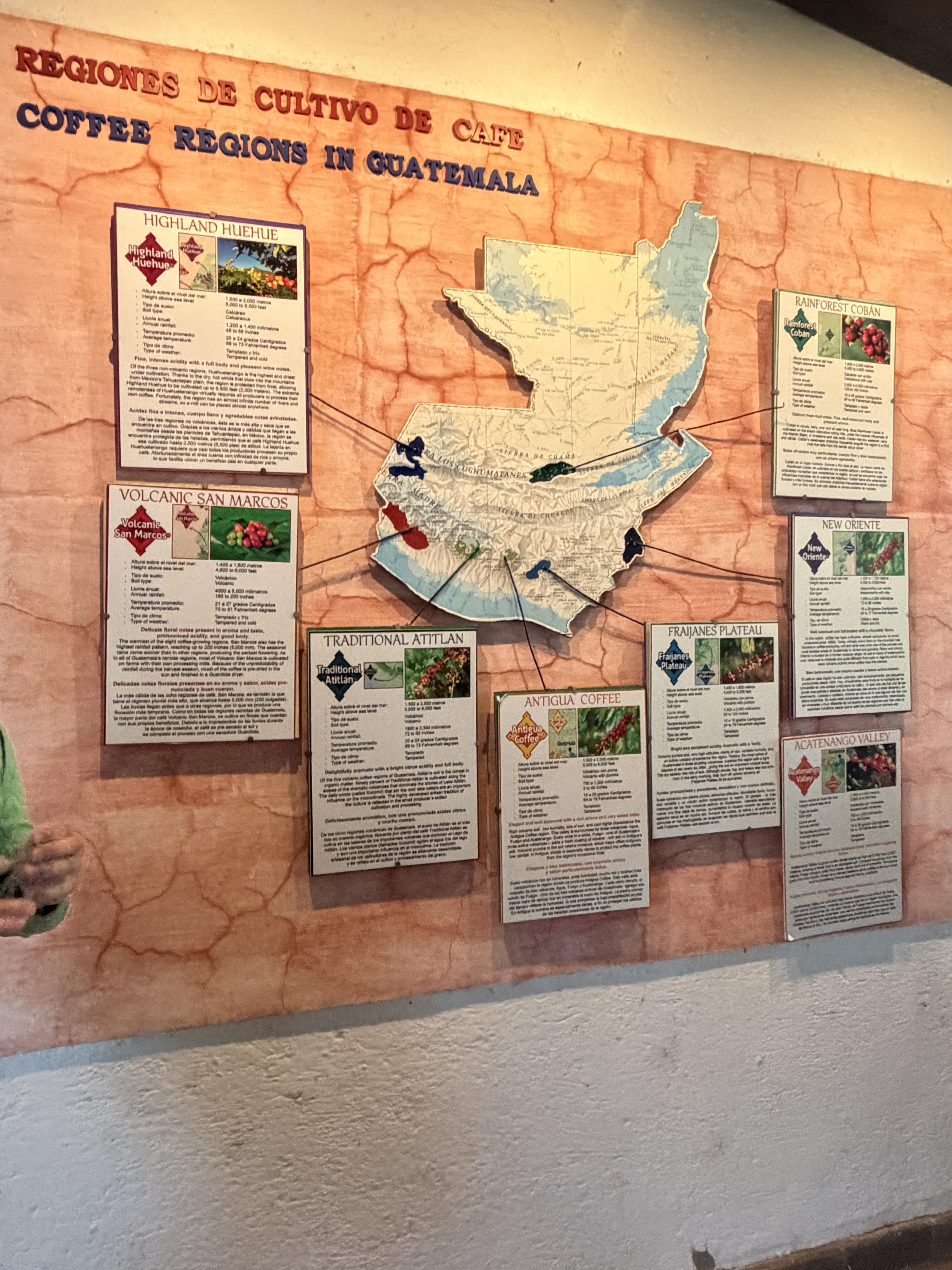 Coffee regions of Guatemala